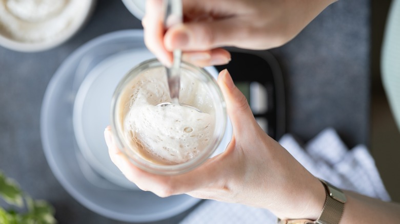 Hand holding jar of sourdough starter 