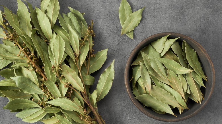 Turns Out, Bay Leaves Don't Actually Last Forever