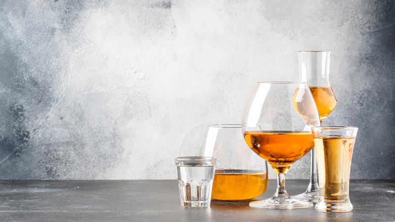 Four glasses of grappa