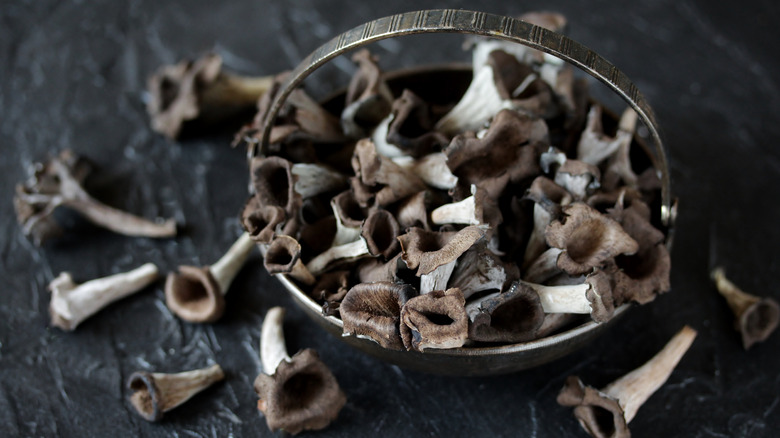 Black trumpet mushrooms bowl