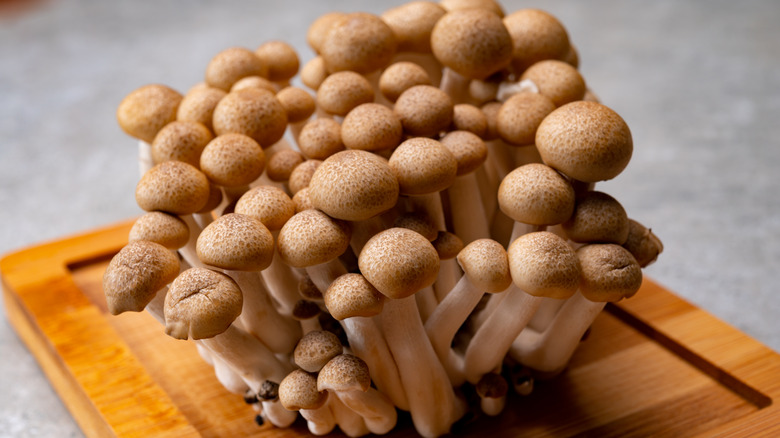 Brown beech mushrooms cutting board