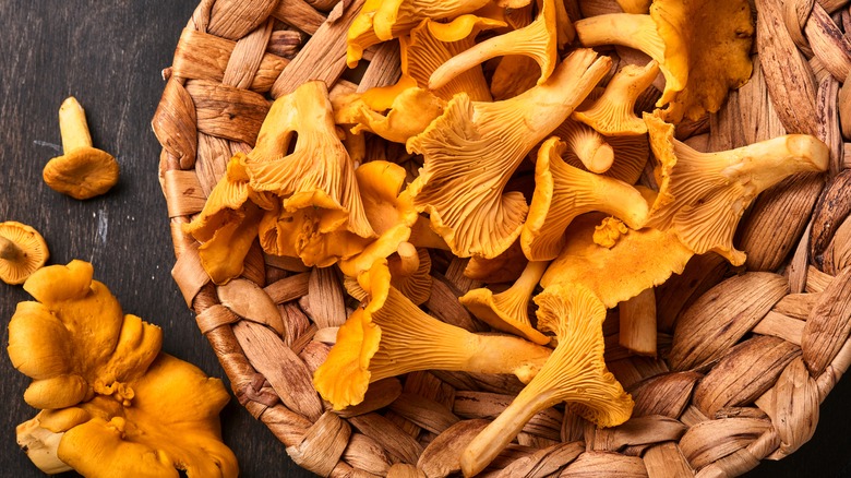 Chanterelles orange basket