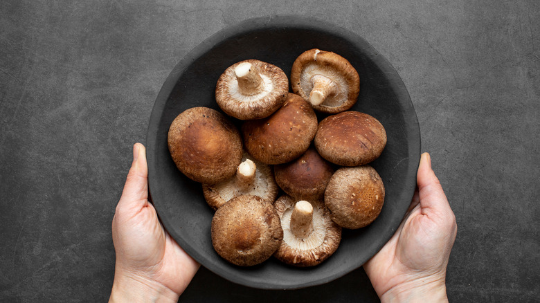 Holding shiitake mushrooms bowl