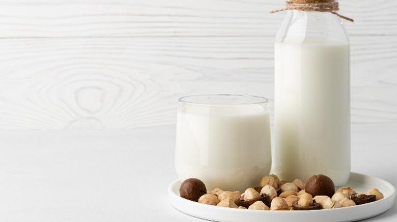 glass and bottle of macadamia milk