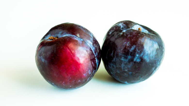 Two friar plums