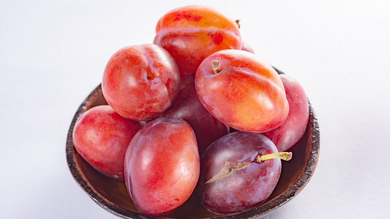 Victoria plum