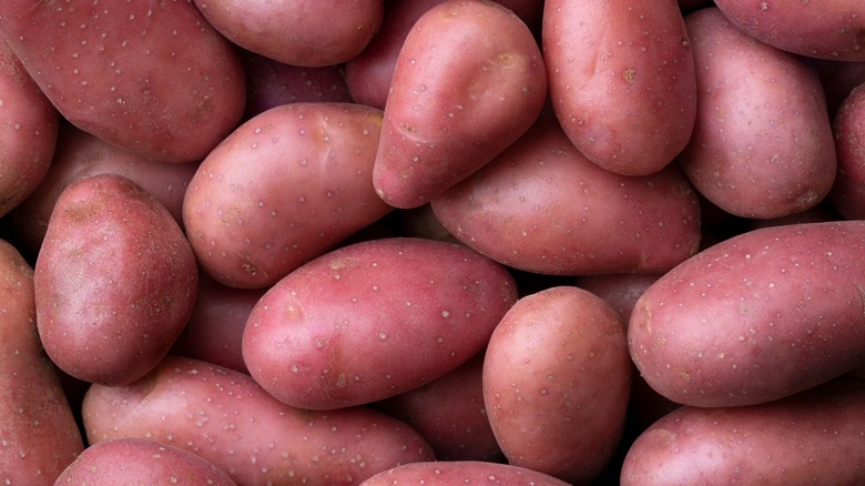 Pile of French fingerling potatoes 