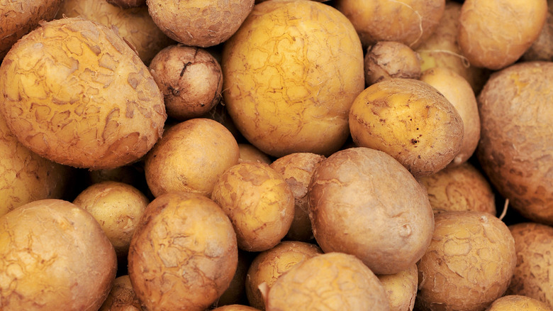 German Butterball potatoes 