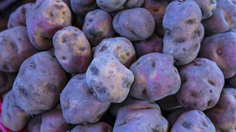 Purple Peruvian potatoes stacked