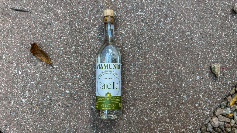 viamundi raicilla bottle on stone ground