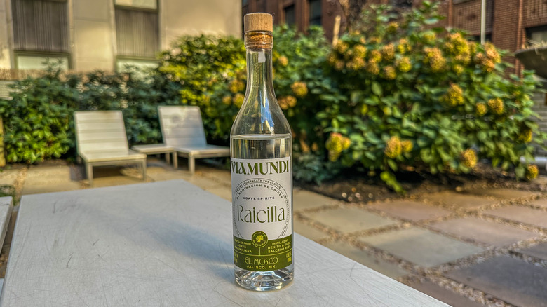 viamundi raicilla bottle on white table