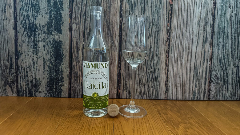 viamundi raicilla bottle next to drinking glass