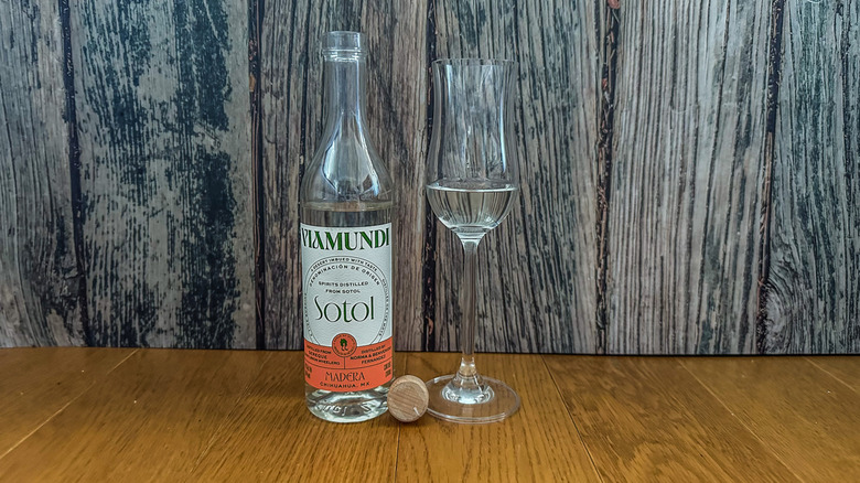 Viamundi Sotol with glass