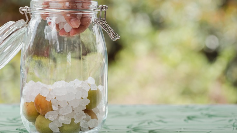 ume and rock sugar cubes 