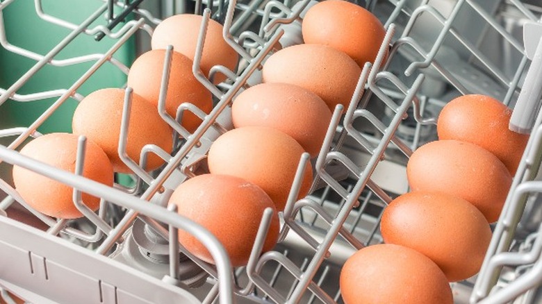 13 brown eggs in a dishwasher