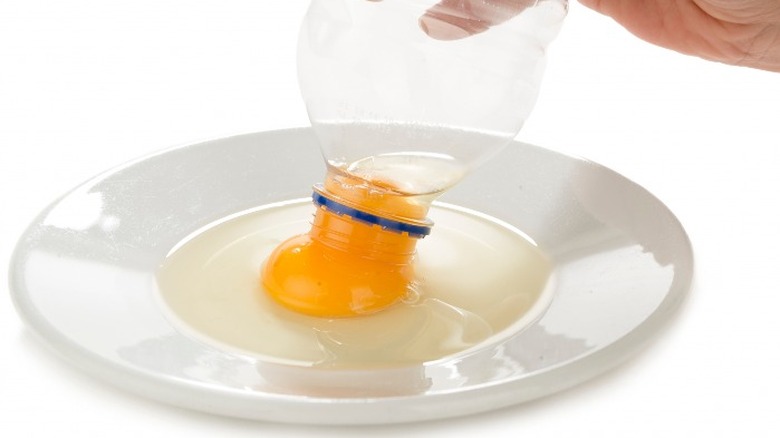 A plastic bottle separating an egg