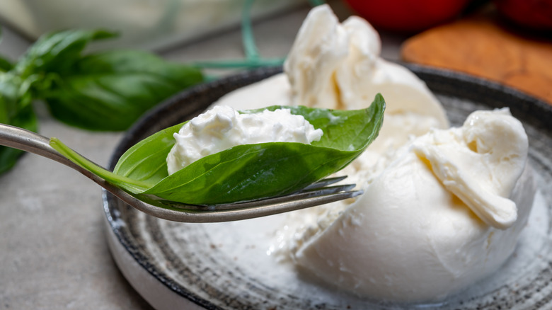 burrata italian cheese