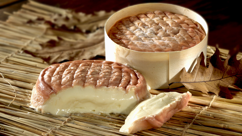 Epoisses french cheese