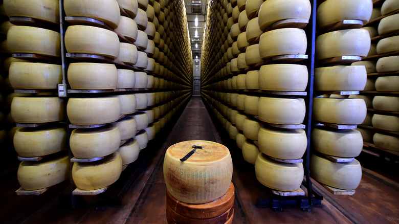 Parmigiana Reggiano real Italian cheese