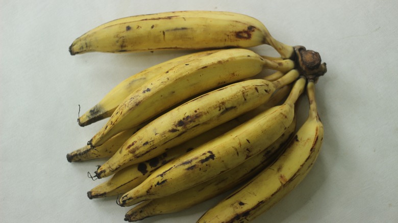 ripe plantains on a counter