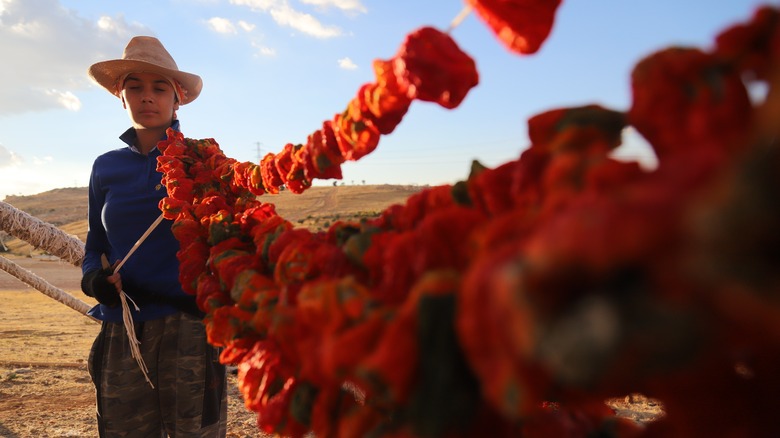 worker in urfa turkey drying pepper