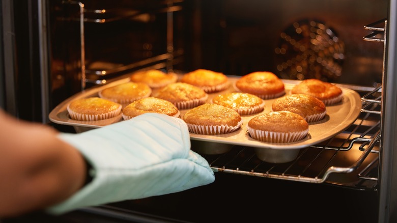 muffins in a tin