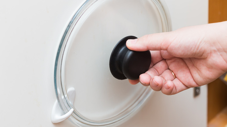 Pan lid on cabinet door