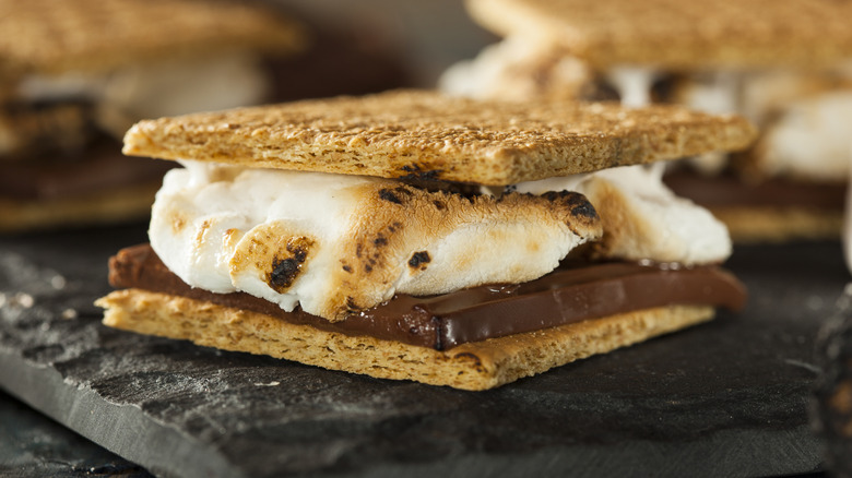 s'mores sandwich with burnt marshmallow and chocolate