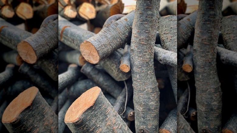 Alder wood logs
