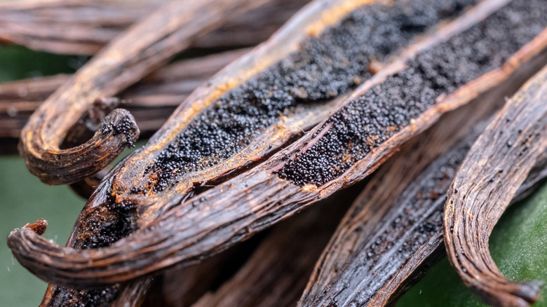 close up vanilla bean pods