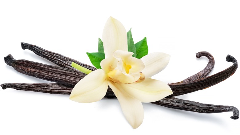 vanilla orchid and beans
