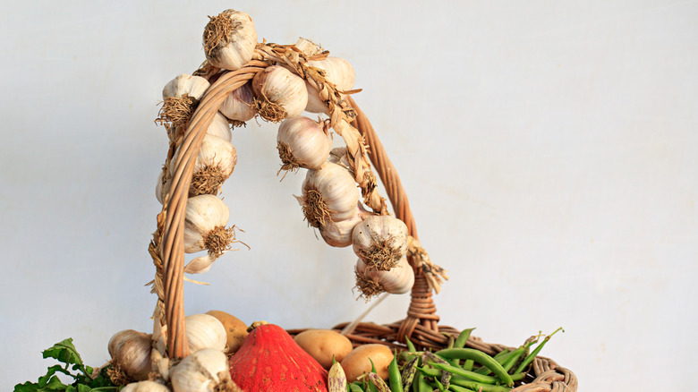 braided soft neck garlic and vegetables 