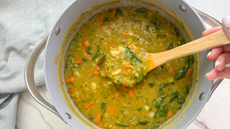 hand holding ladle of soup