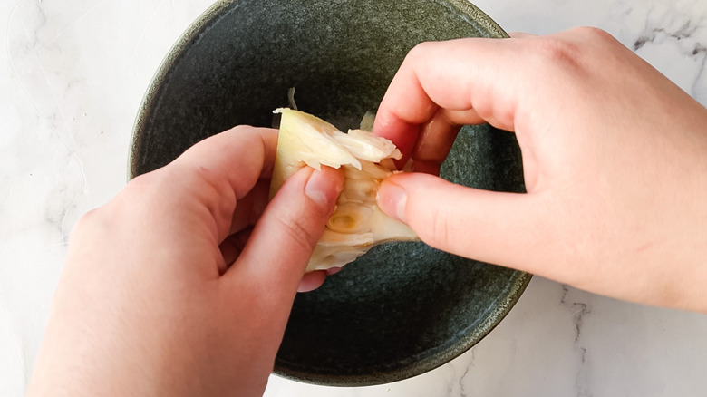 Shredding jackfruit into bowl