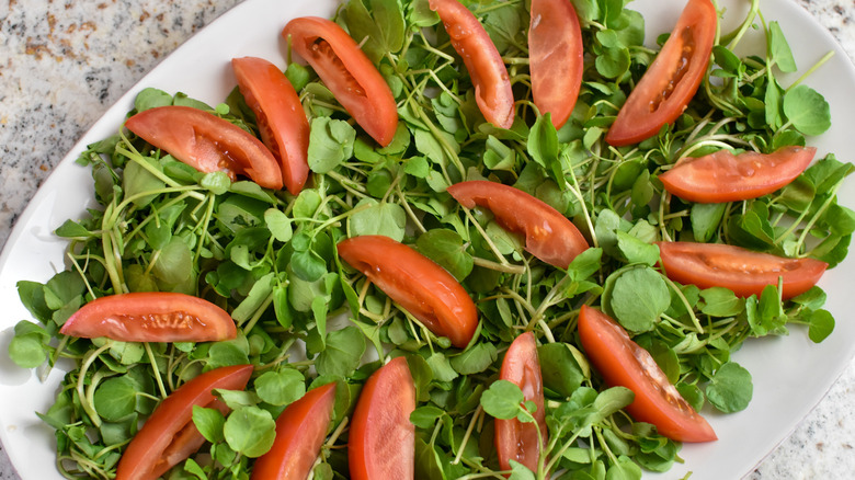 tomato and leafy greens