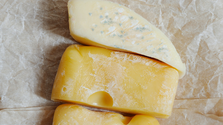 Mold on cheese