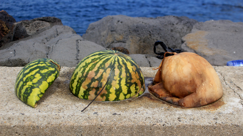 Decomposing watermelon rinds on stone ledge