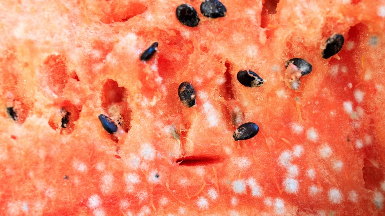 Close up of moldy watermelon