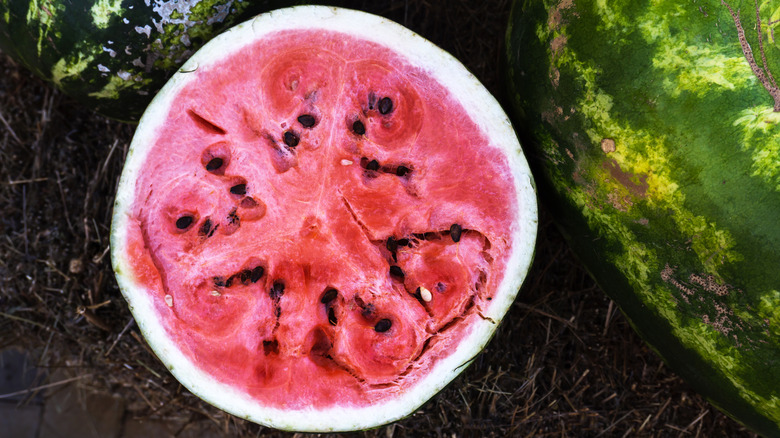 Half watermelon on ground with large cracks inside