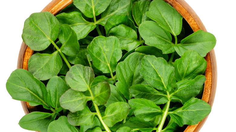 watercress leaves in wooden bowl