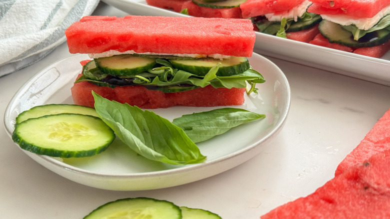 side view of watermelon sandwich