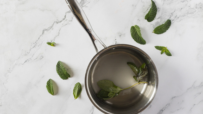 Mint, water and sugar in a saucepan