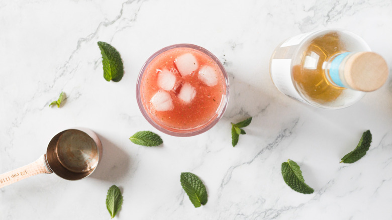 A shaker with a red drink and ice beside a nonalcoholic tequila