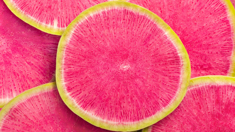 Watermelon radish slices close up