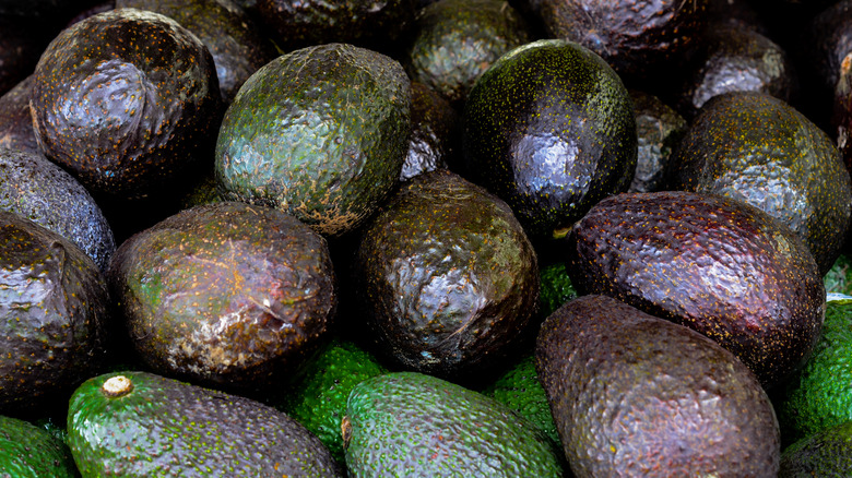 Assortment of avocados 