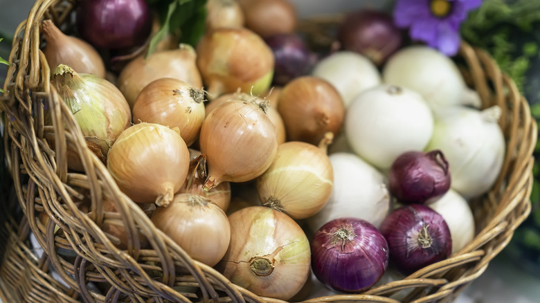 Assorted onions in basket 