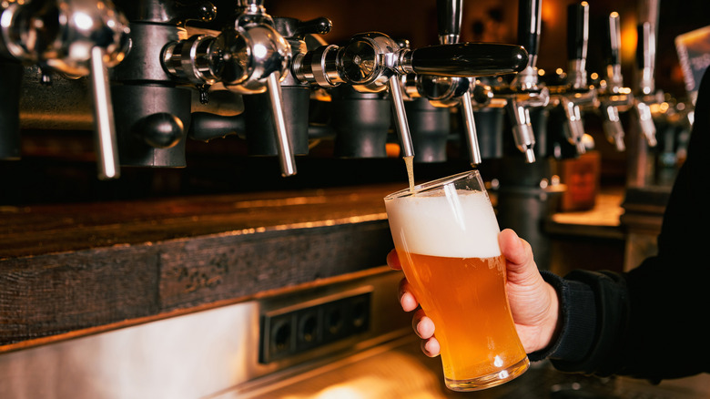 Bartender pouring beer into a pint glass