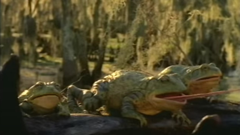 The 3 Budweiser frogs in commercial