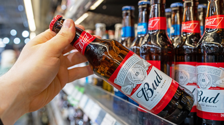 Hand grabbing bottle of Budweiser from shelf