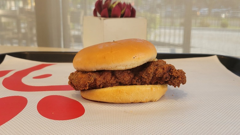 Chick-fil-A spicy sandwich